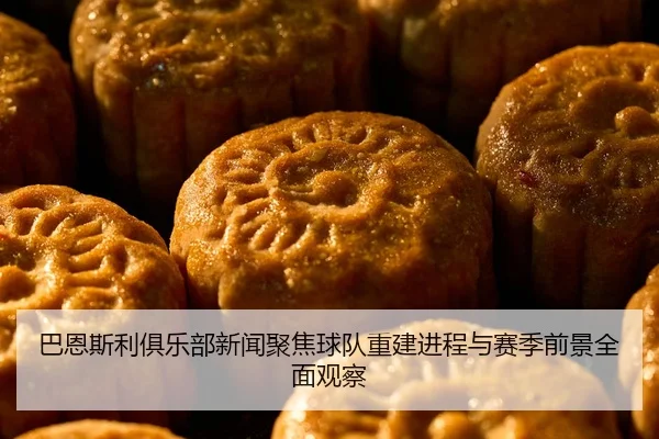 巴恩斯利俱乐部新闻聚焦球队重建进程与赛季前景全面观察