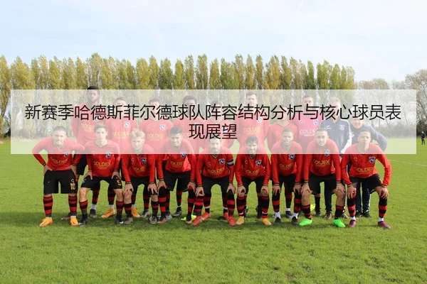 新赛季哈德斯菲尔德球队阵容结构分析与核心球员表现展望