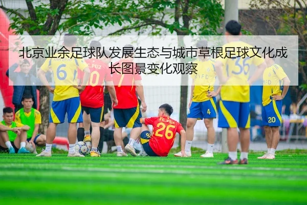 北京业余足球队发展生态与城市草根足球文化成长图景变化观察